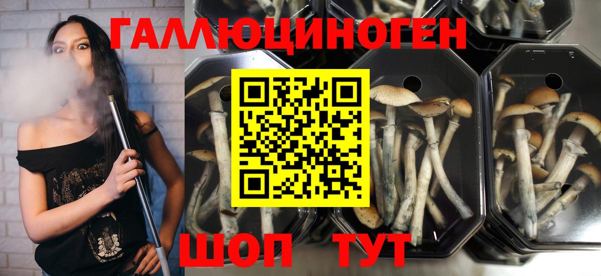 Галлюциногенные грибы ЛСД  Вход с VPN  Ступино 